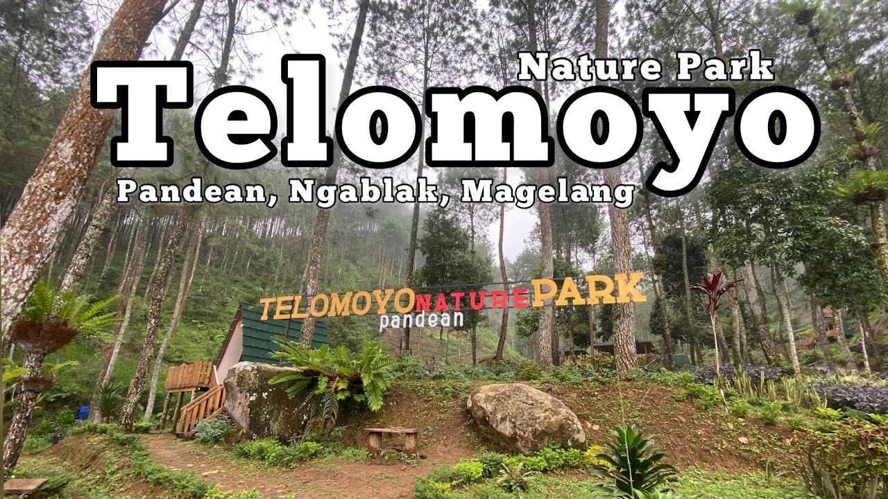 Telomoyo Nature Park: Surga Tersembunyi di Lereng Gunung Telomoyo